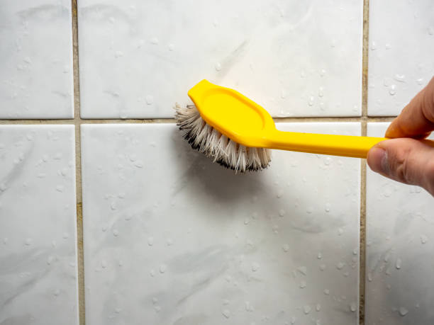 Best Preventive Mold Services in Notre Dame, IN