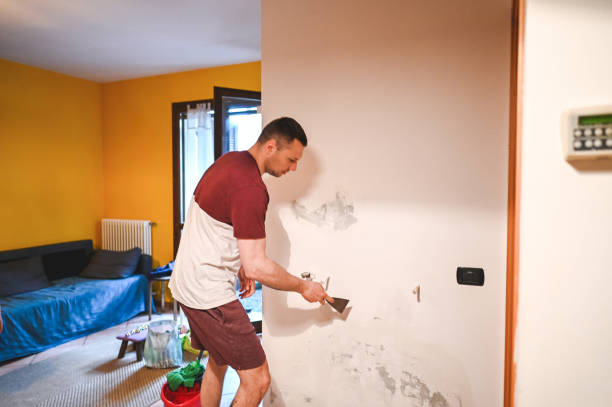 Best Preventive Mold Services in Notre Dame, IN